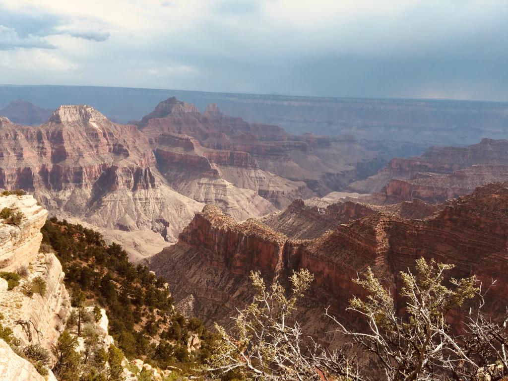 vista da largura do grand canyon north rim arizona