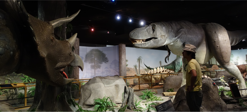 Las Vegas Natural History Museum criancas em las vegas