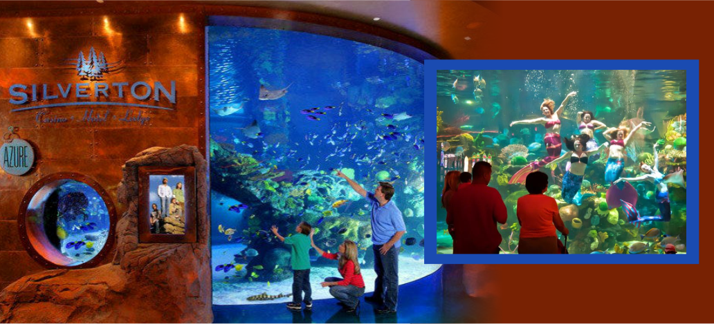 Sereias no aquário do Silverton Casino 