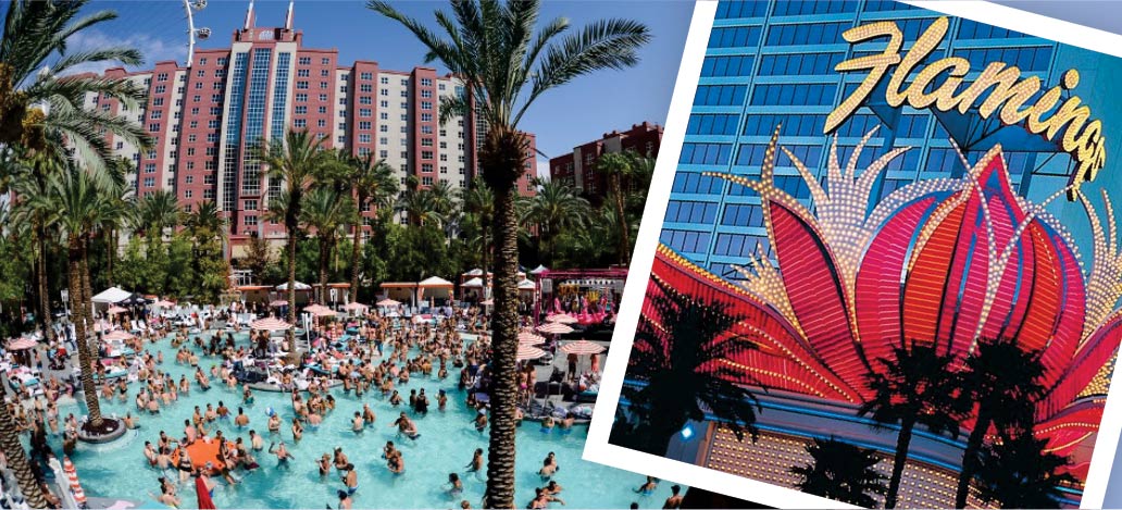 GoPool do Flamingo piscina Las Vegas: cobrado apenas no final de semana