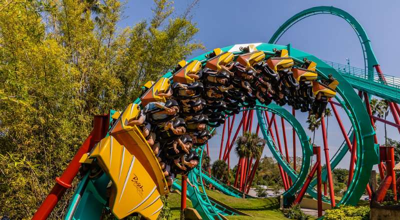 no busch gardens tampa voce pode andar em um das maiores montanhas-russas do mundo