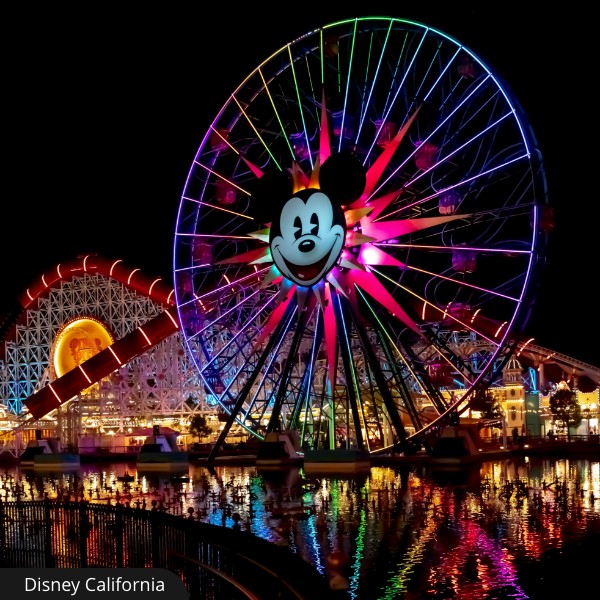 Um mundo divertido e muito mais! Disney  California