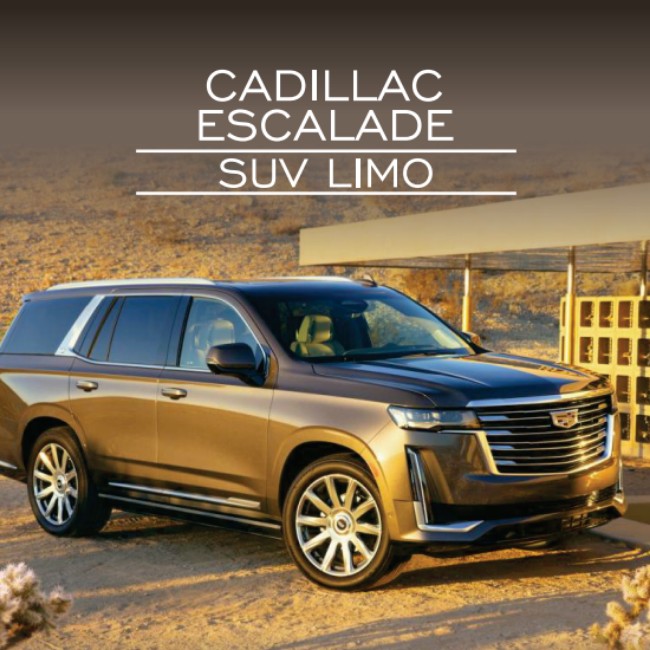 CADILLAC ESCALADE - SUV LIMO 02