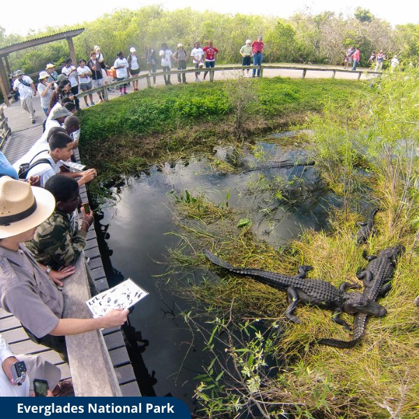 EVERGLADES NATIONAL PARK