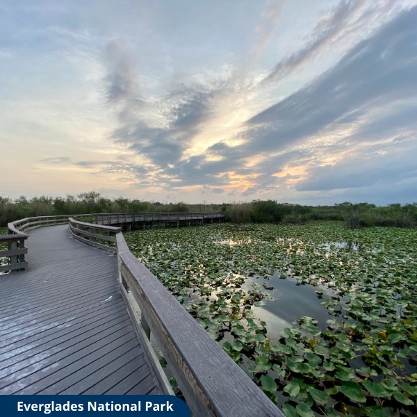 EVERGLADES NATIONAL PARK