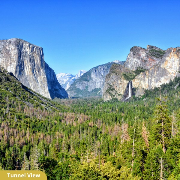 YOSEMITE NATIONAL PARK