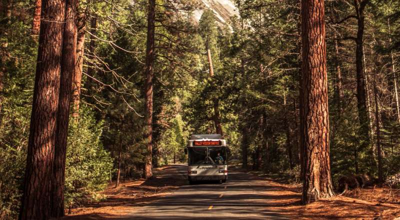 conheca o fantastico yosemite national park com a eu na gringa