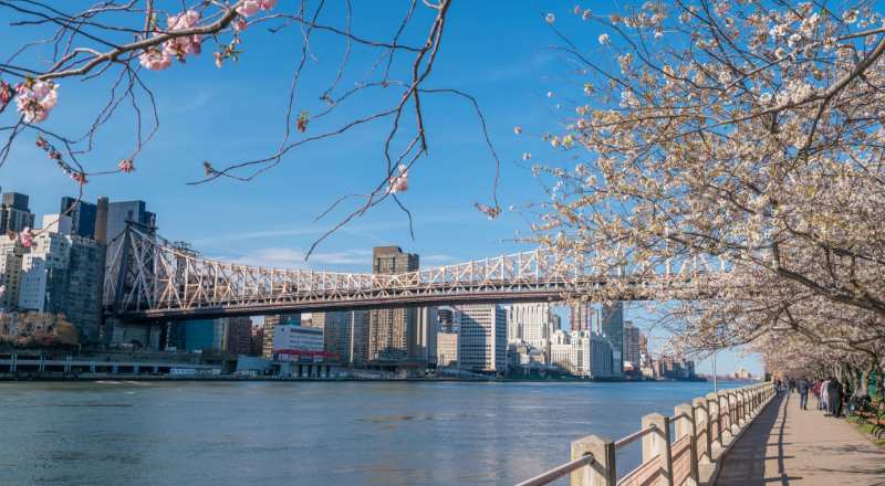 a ponte do queens tambem e um lugar incrivel para tirar belas fotografias