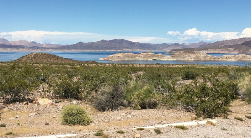 vista das montanhas sobre o lago mead com vegetação em primeiro plano e o lago rodeado de montanhas ao fundo